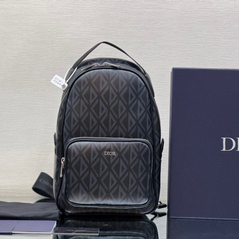 Dior Chest Bag