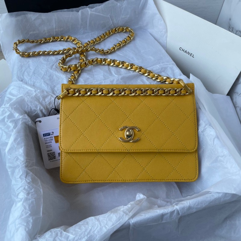 CHanel 23c Flap