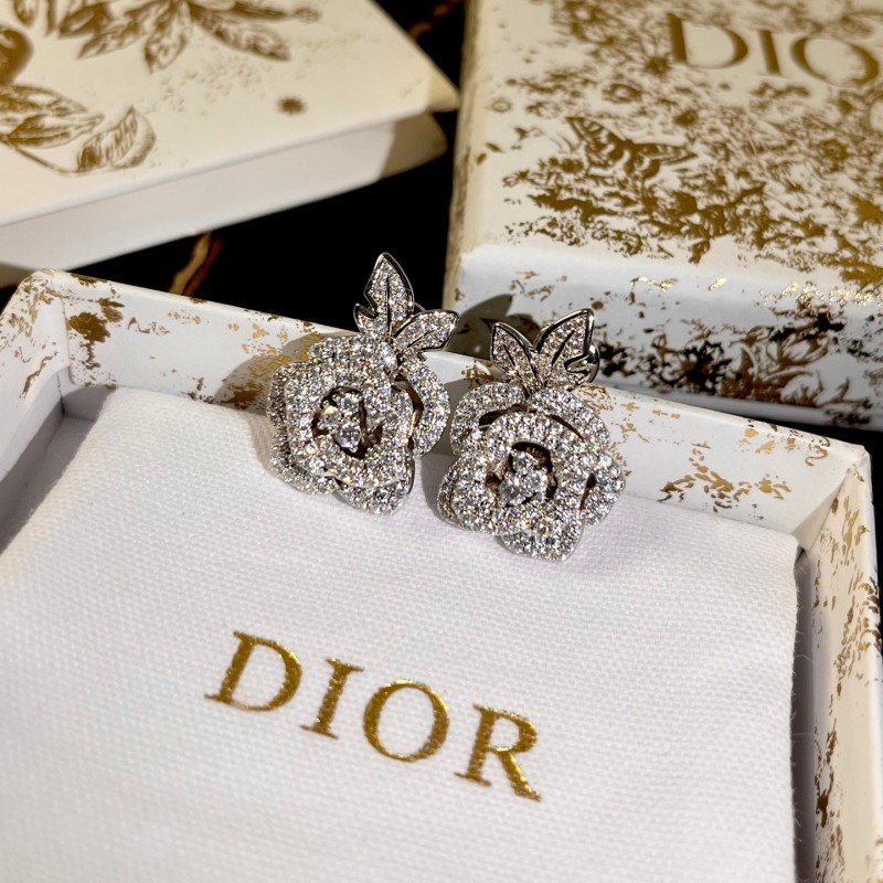 Dior Earrings 