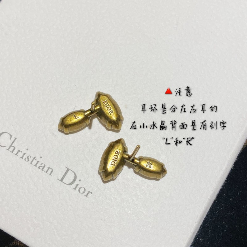 Dior Earrings