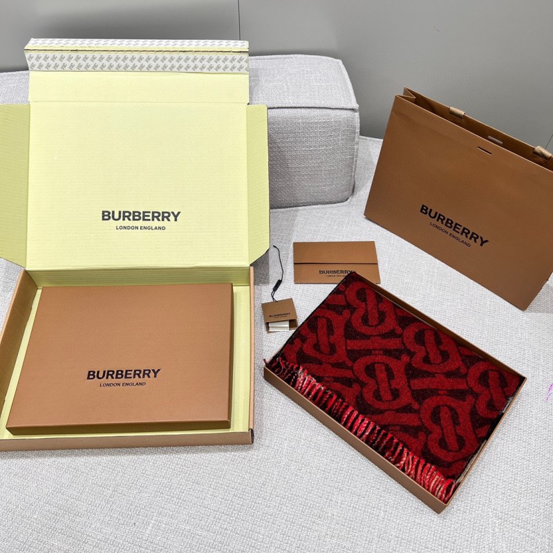 Burberry Scarf