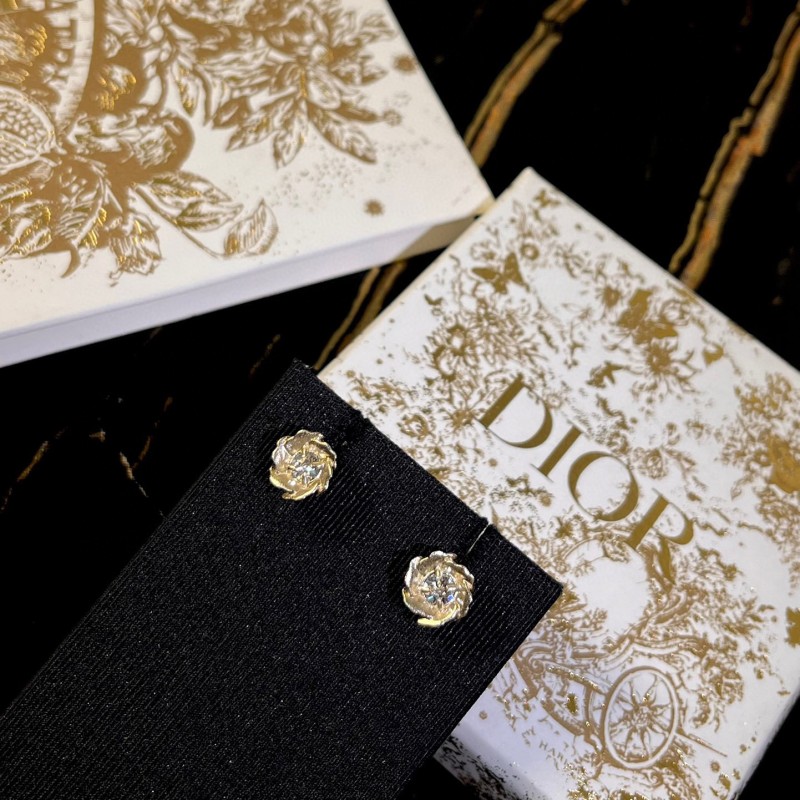 Dior Earrings