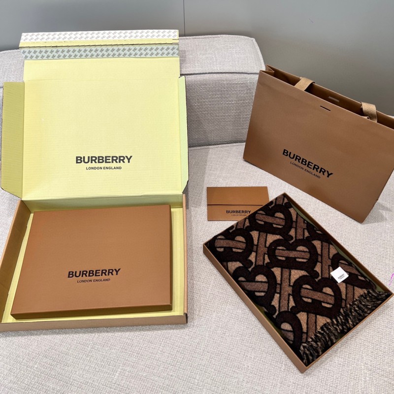 Burberry Long Scarf