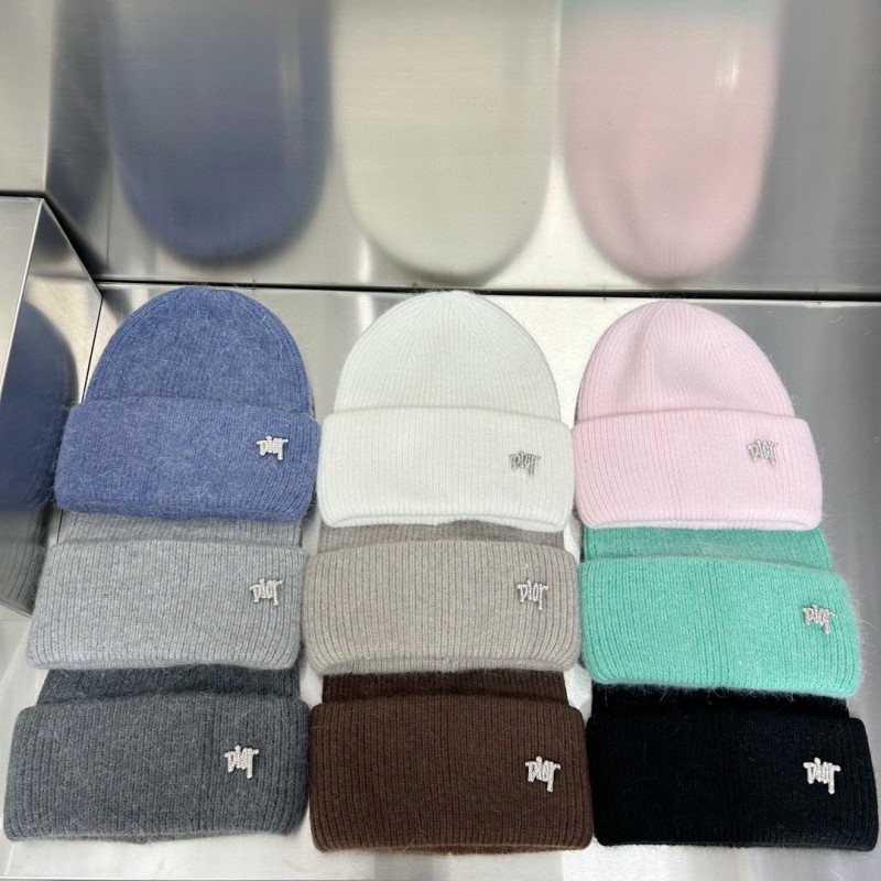 Dior Beanie Hat