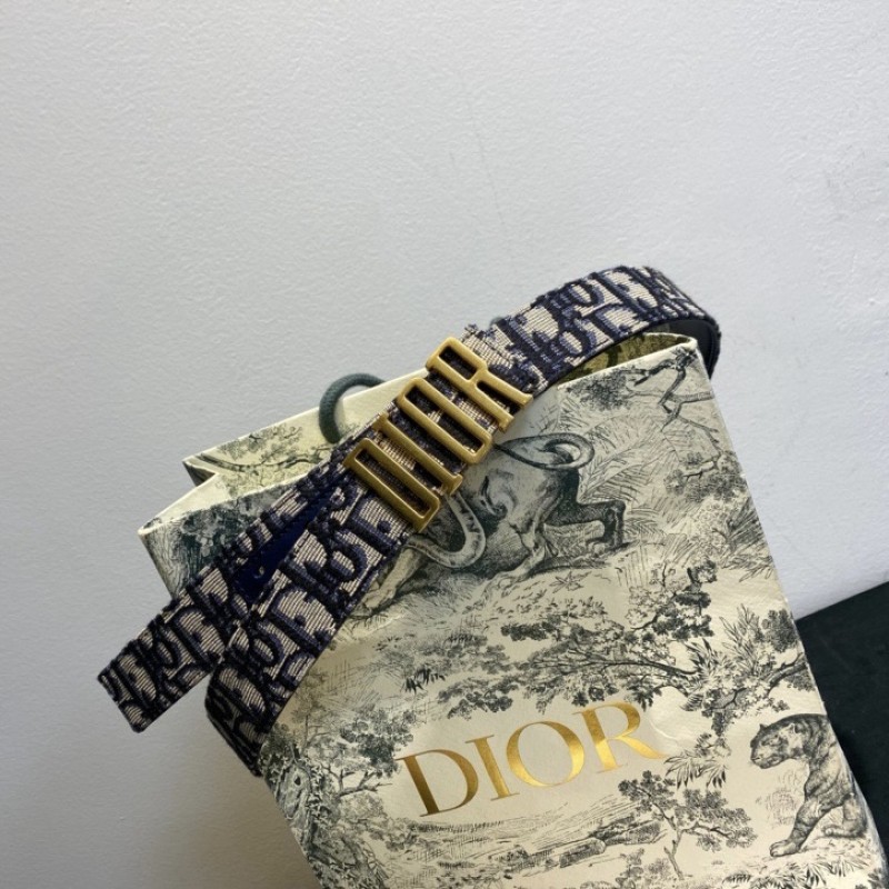 Dior Belt