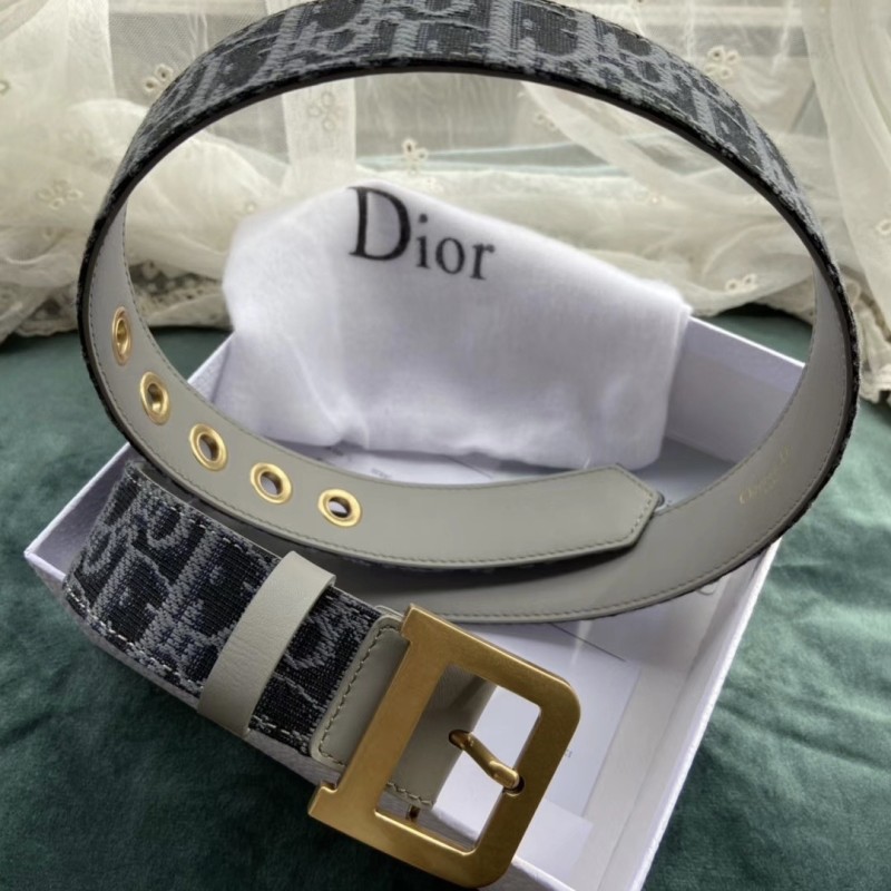 Dior Quake Belt