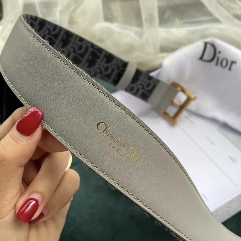 Dior Quake Belt