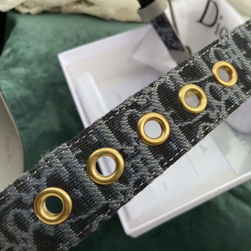 Dior Quake Belt