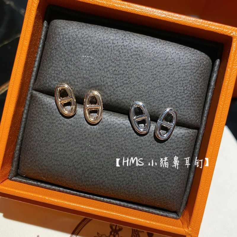 Hermes Earrings