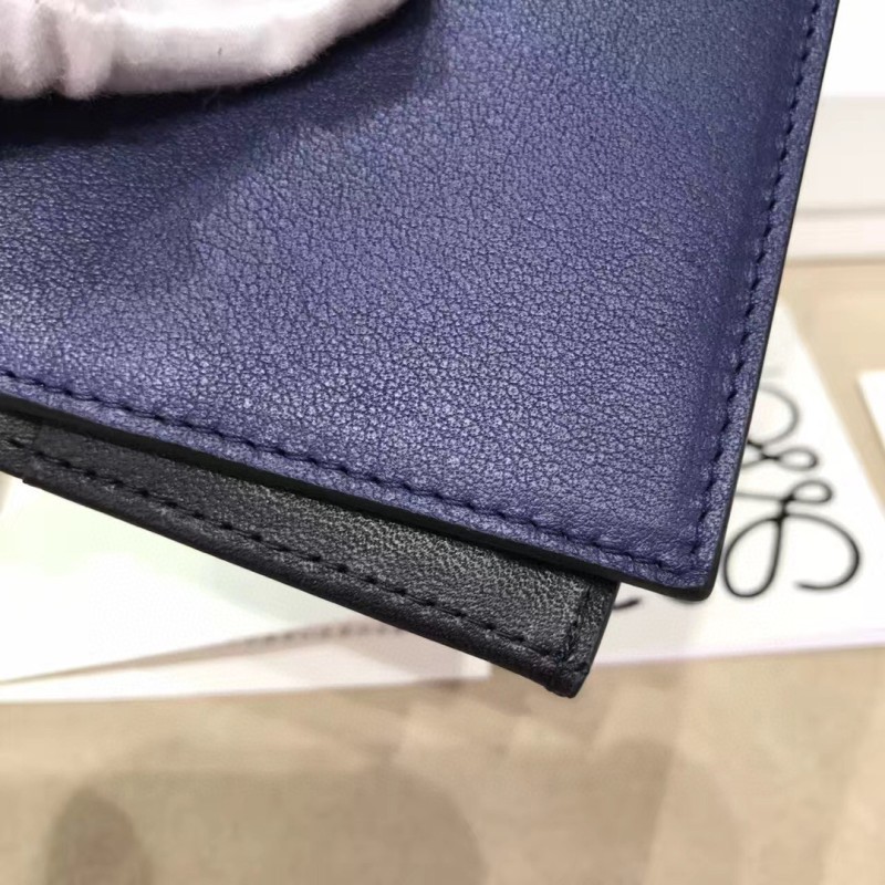 Loewe Long Wallet