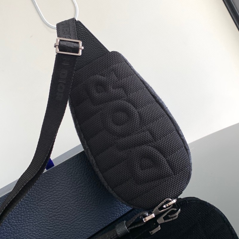 Dior Scarab Bag