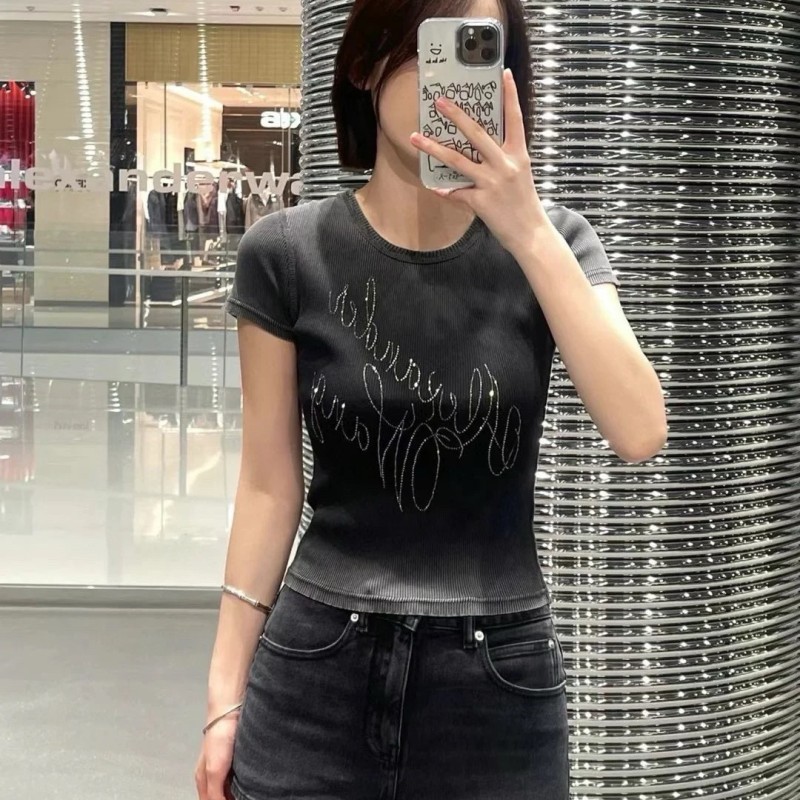 Alexander Wang Tee