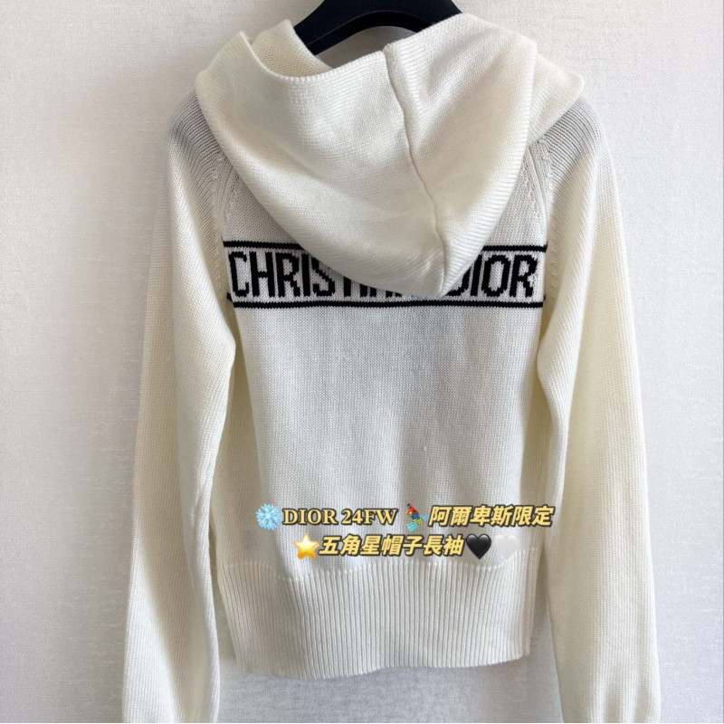 Dior Hoodie