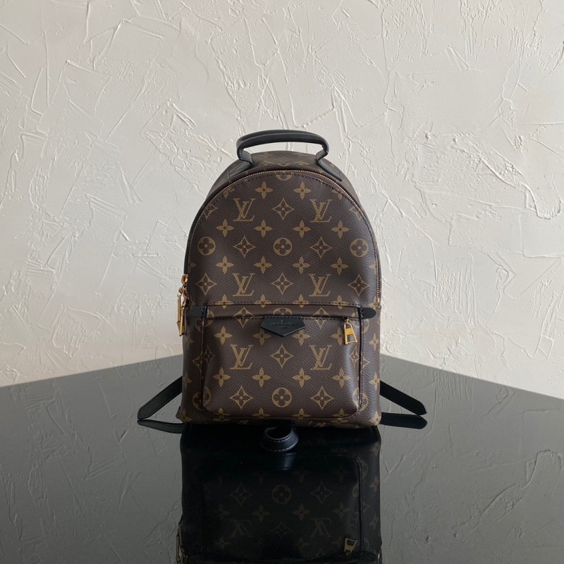 LV Backpack