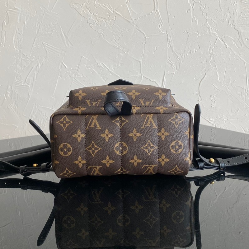 LV Backpack