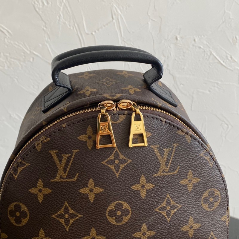 LV Backpack