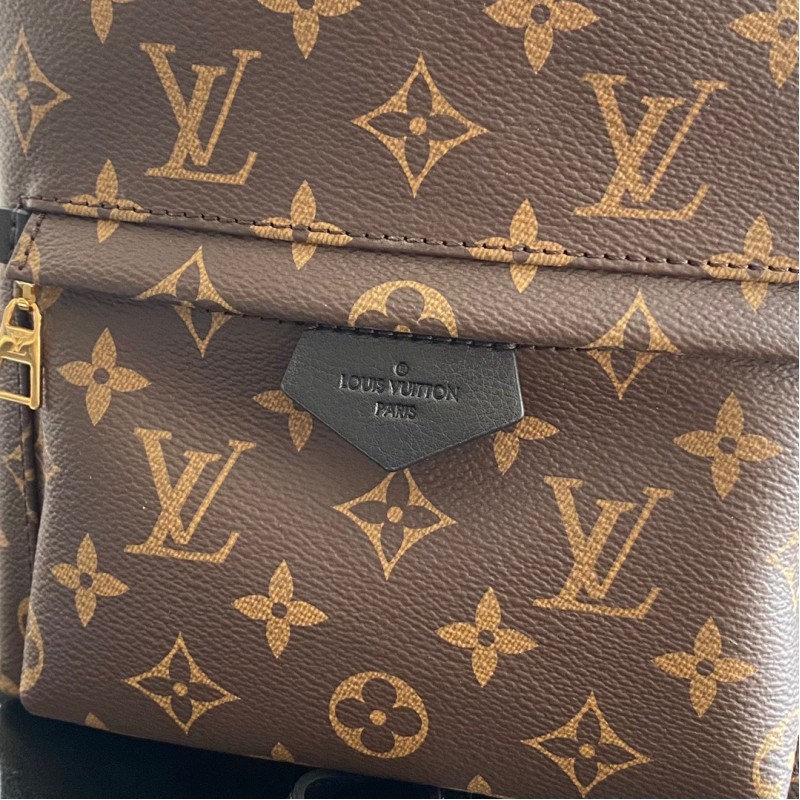 LV Backpack