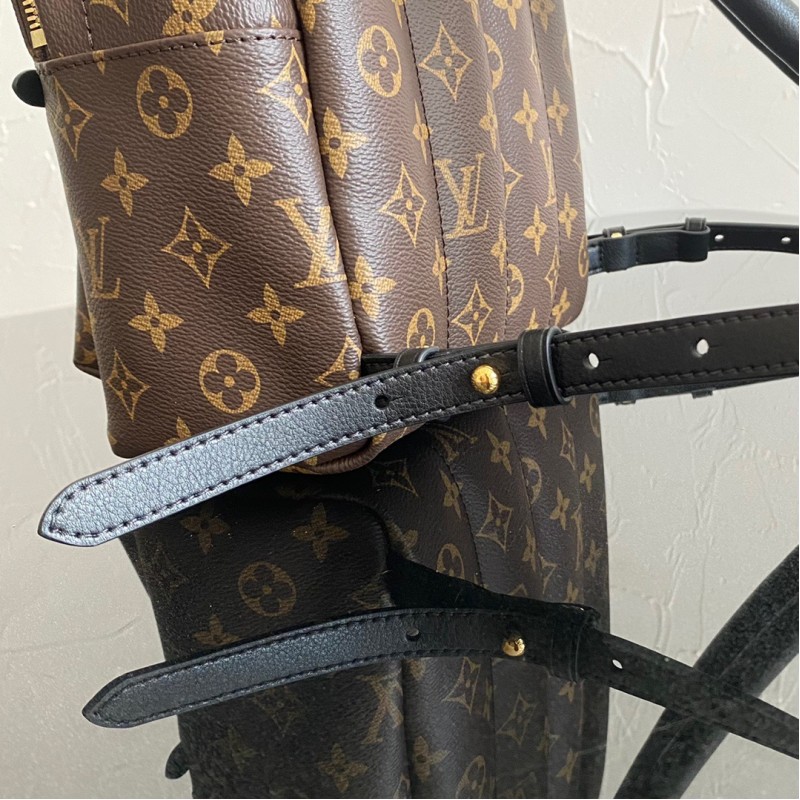 LV Backpack