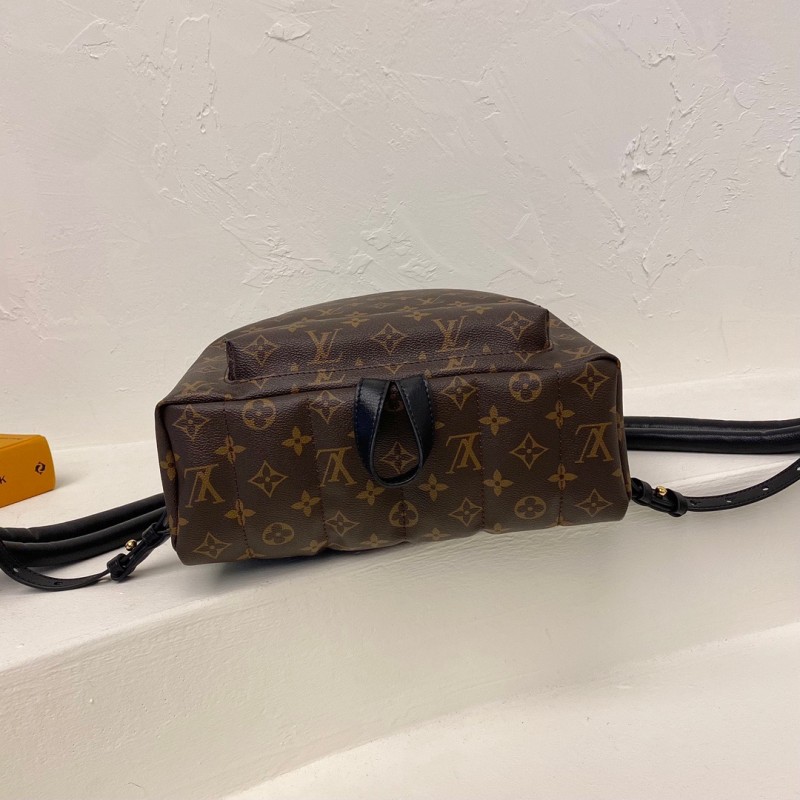 LV Backpack