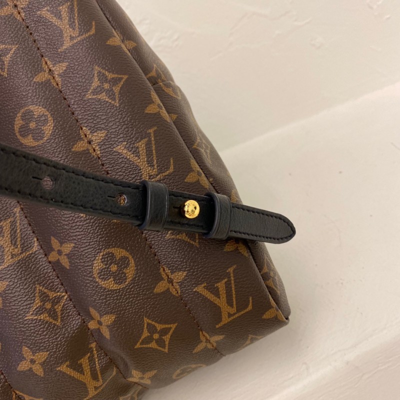 LV Backpack