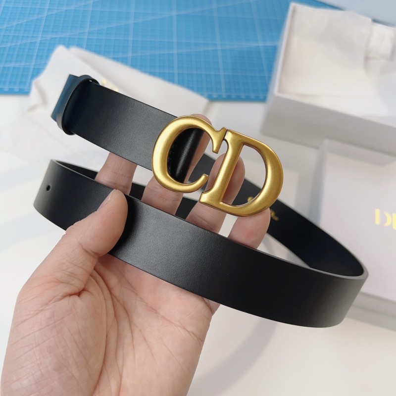 Dior Saddle Belt