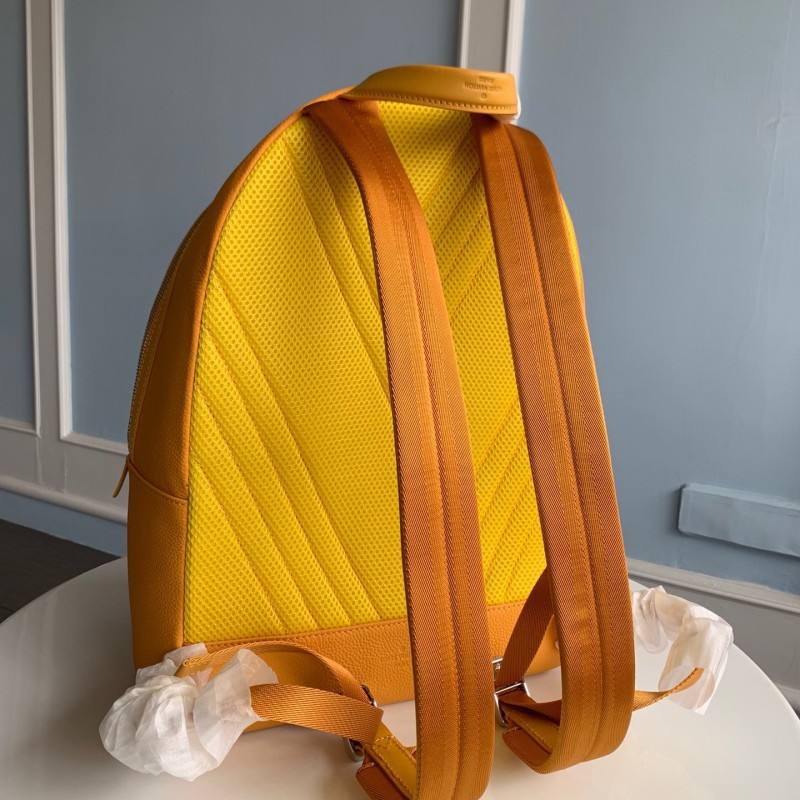 LV Backpack