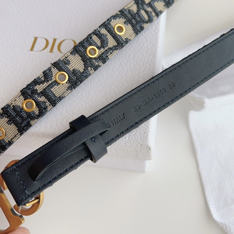 Dior Saddle Belt