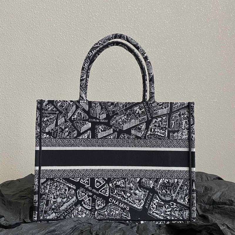 Dior Book Tote