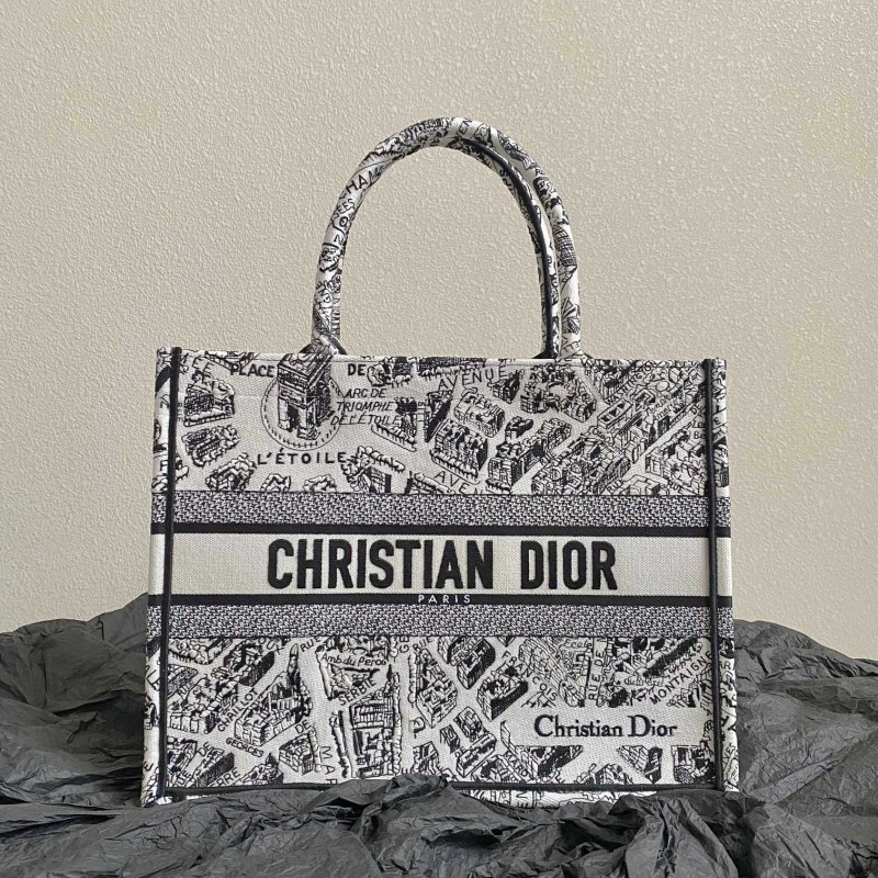 Dior Book Tote