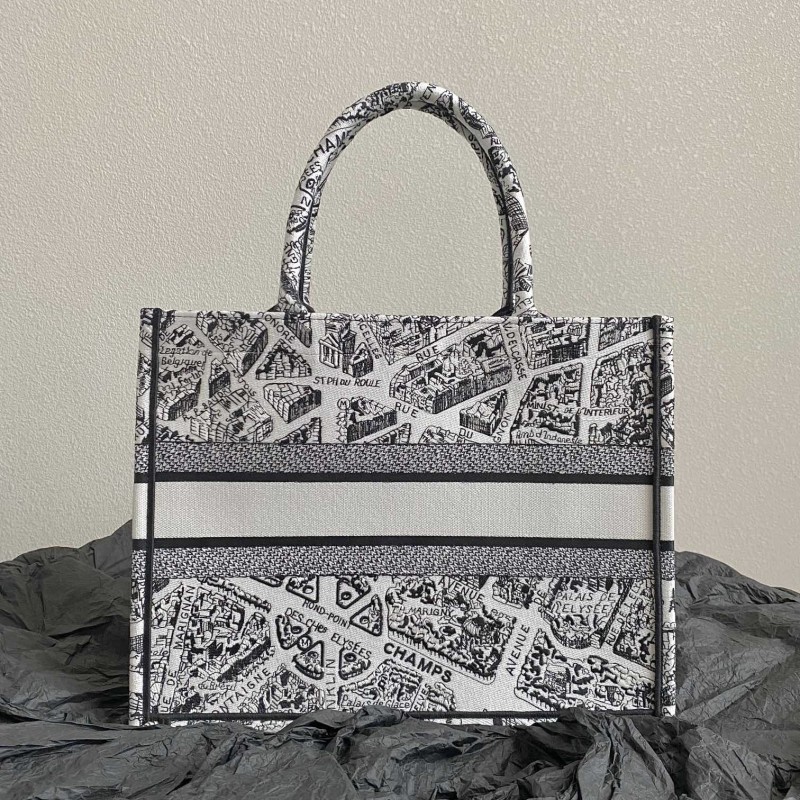 Dior Book Tote