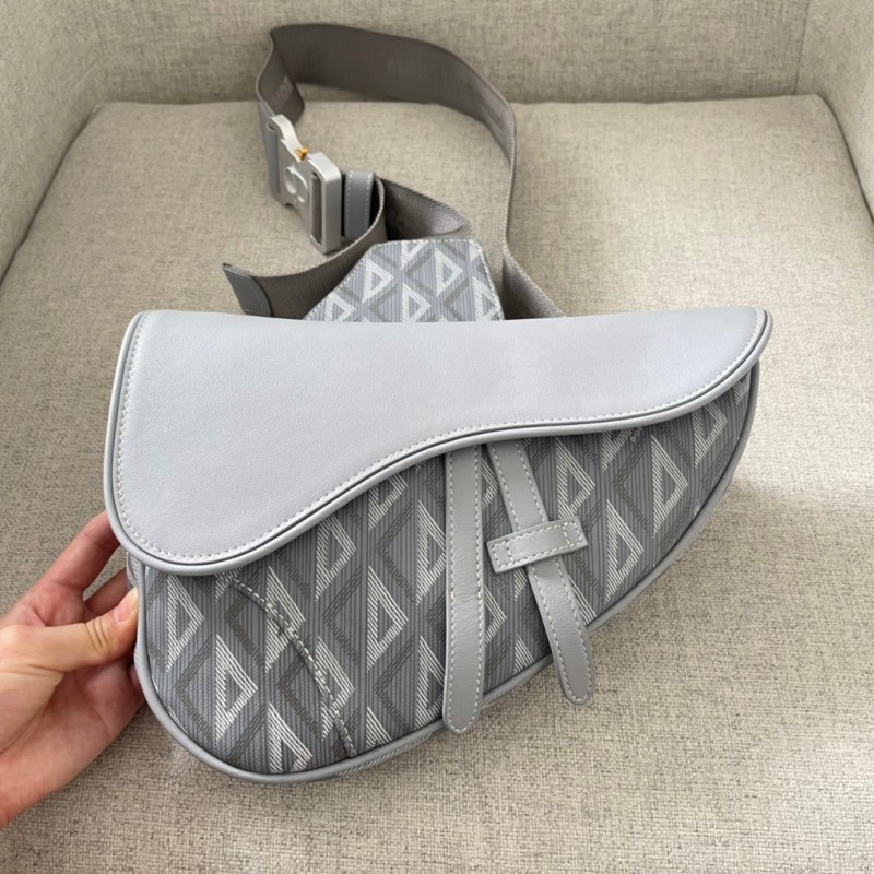 Dior Saddle 