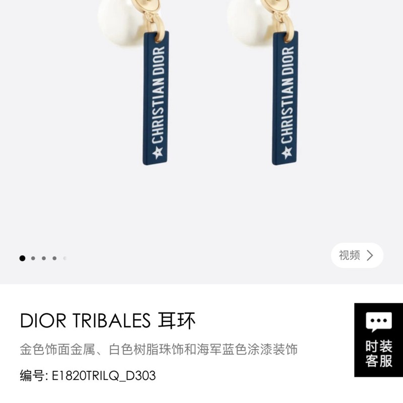 Dior Earrings 