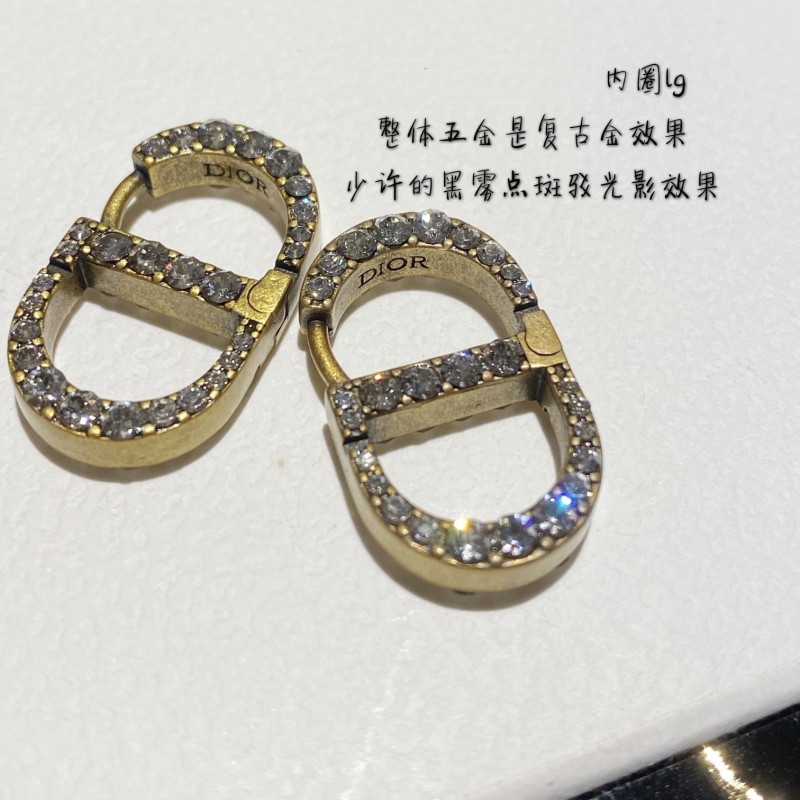 Dior Earrings