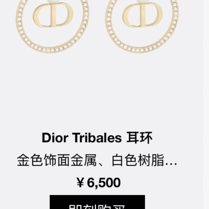 Dior Earrings 